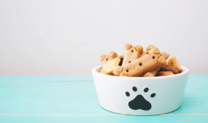 galletas para perros caseras