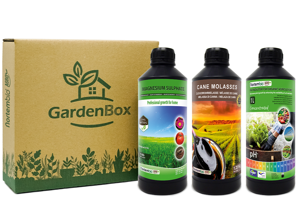 Garden Box